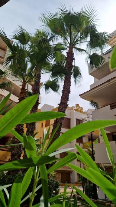 Olivia Sunny 2 Bedroom Apartament Punta Prima Torrevieja Exterior photo